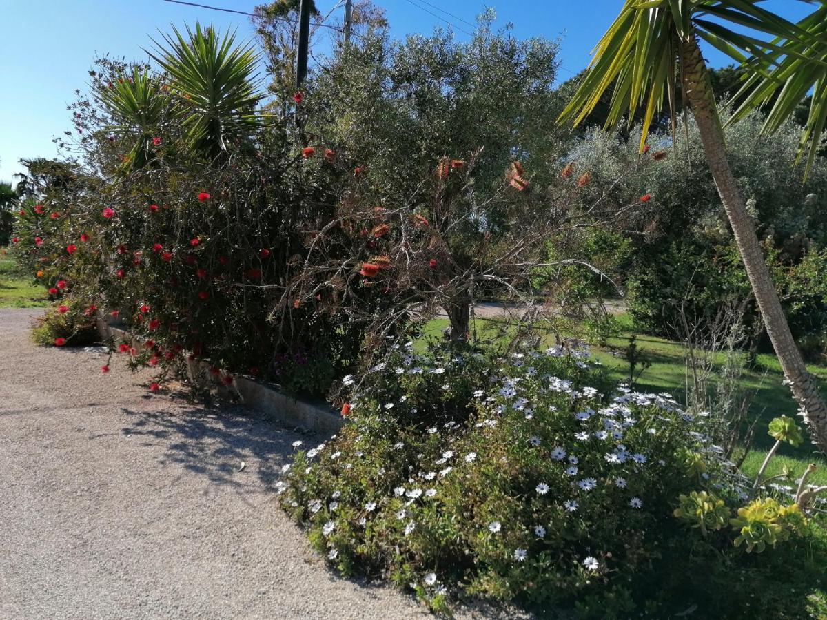 Il Patio Alghero Санта-Мария-ла-Пальма Экстерьер фото